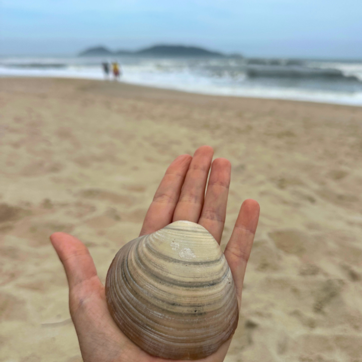 Soul Brand Joha De Luca 6